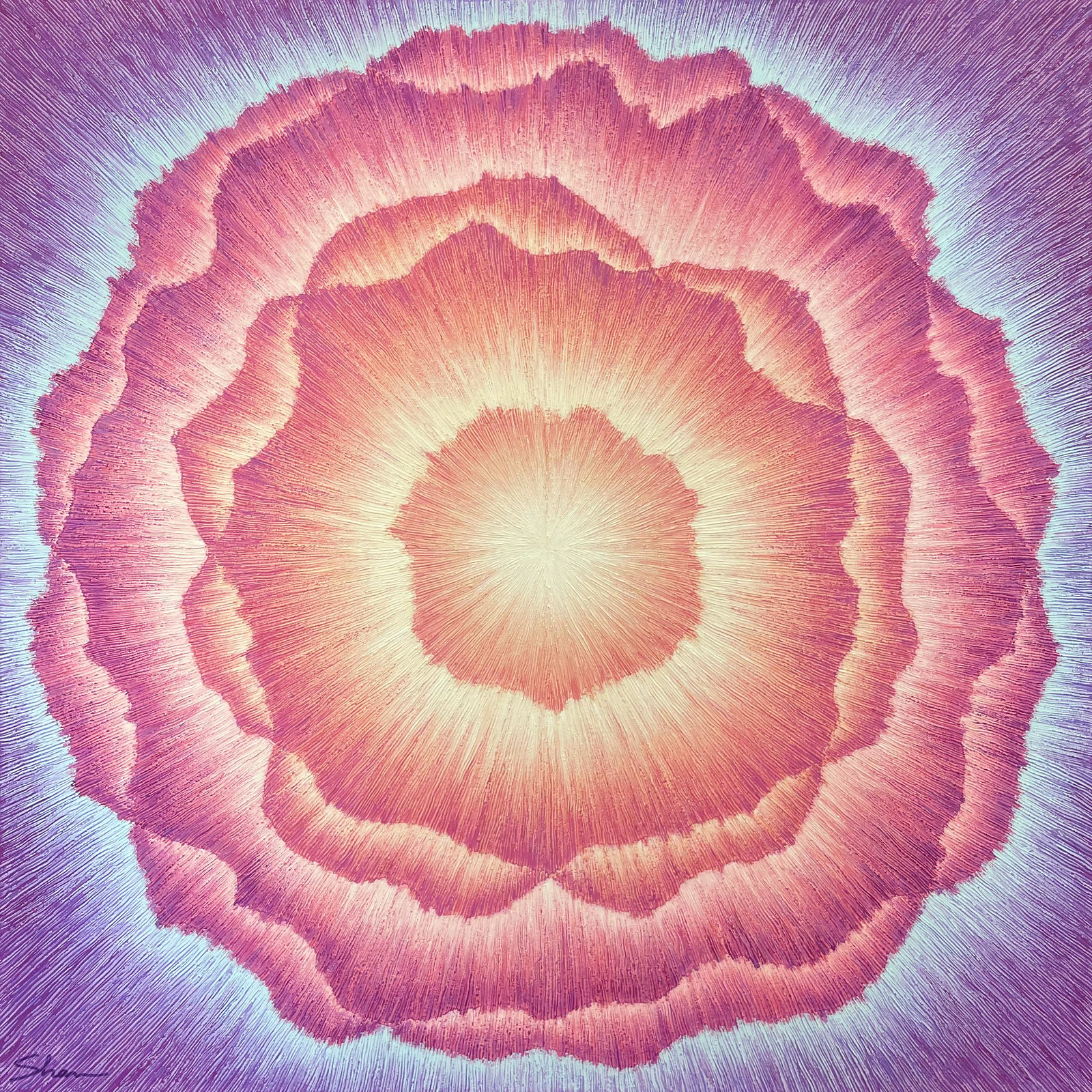 Shan Ogdemli, Pink Supernova, 2024