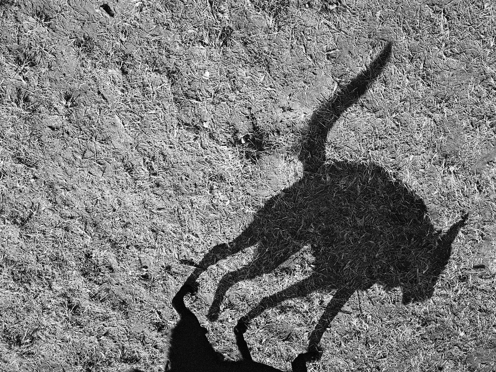 Tom Roma, 04.D45, 2012