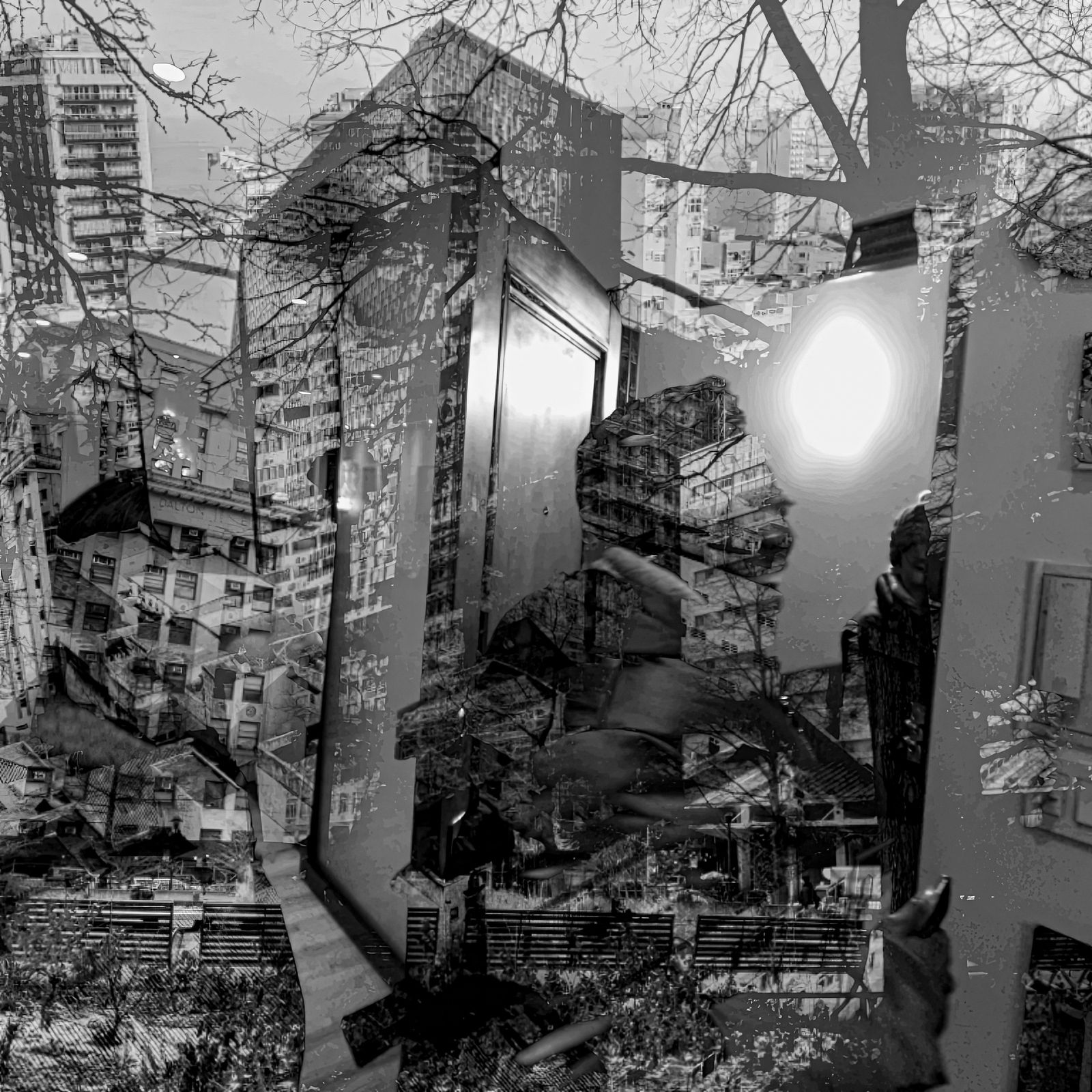 Brooks Williams, Urban Serenity, 2023