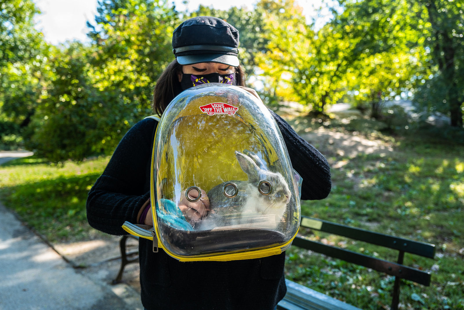 Anne Kornfeld, Rabbit Girl , 2020