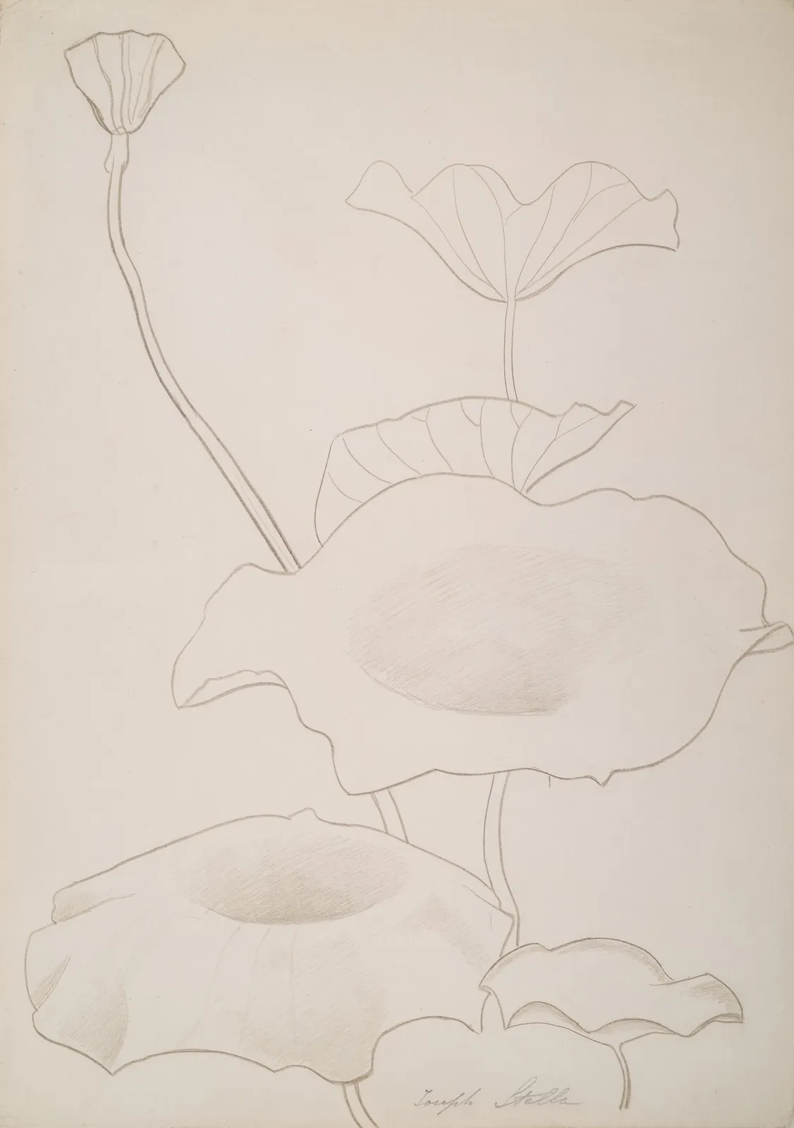 Joseph Stella, Lotus Leaves, c. 1920