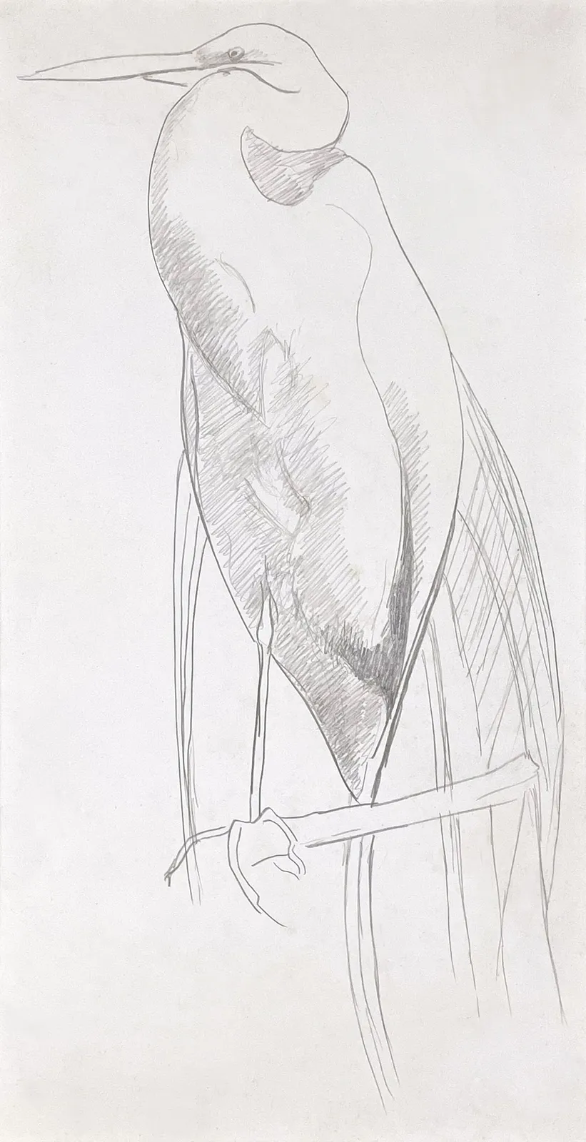 Joseph Stella, Great Egret, No. 2