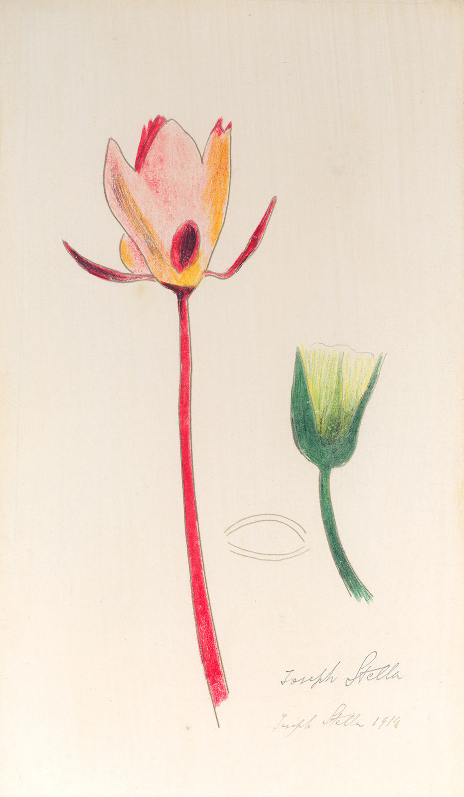 Joseph Stella, Red and White Waterlilies, 1919