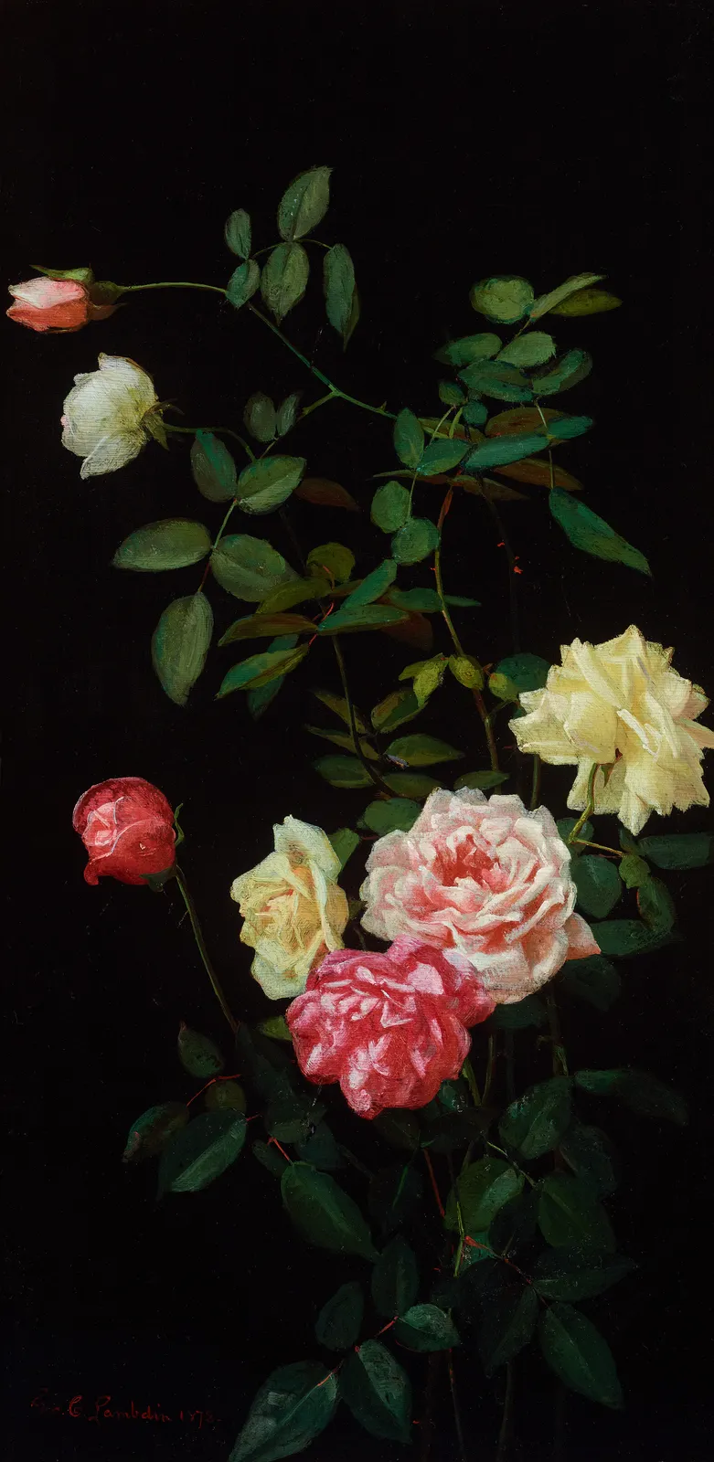George Cochran Lambdin, Still Life Roses, 1878