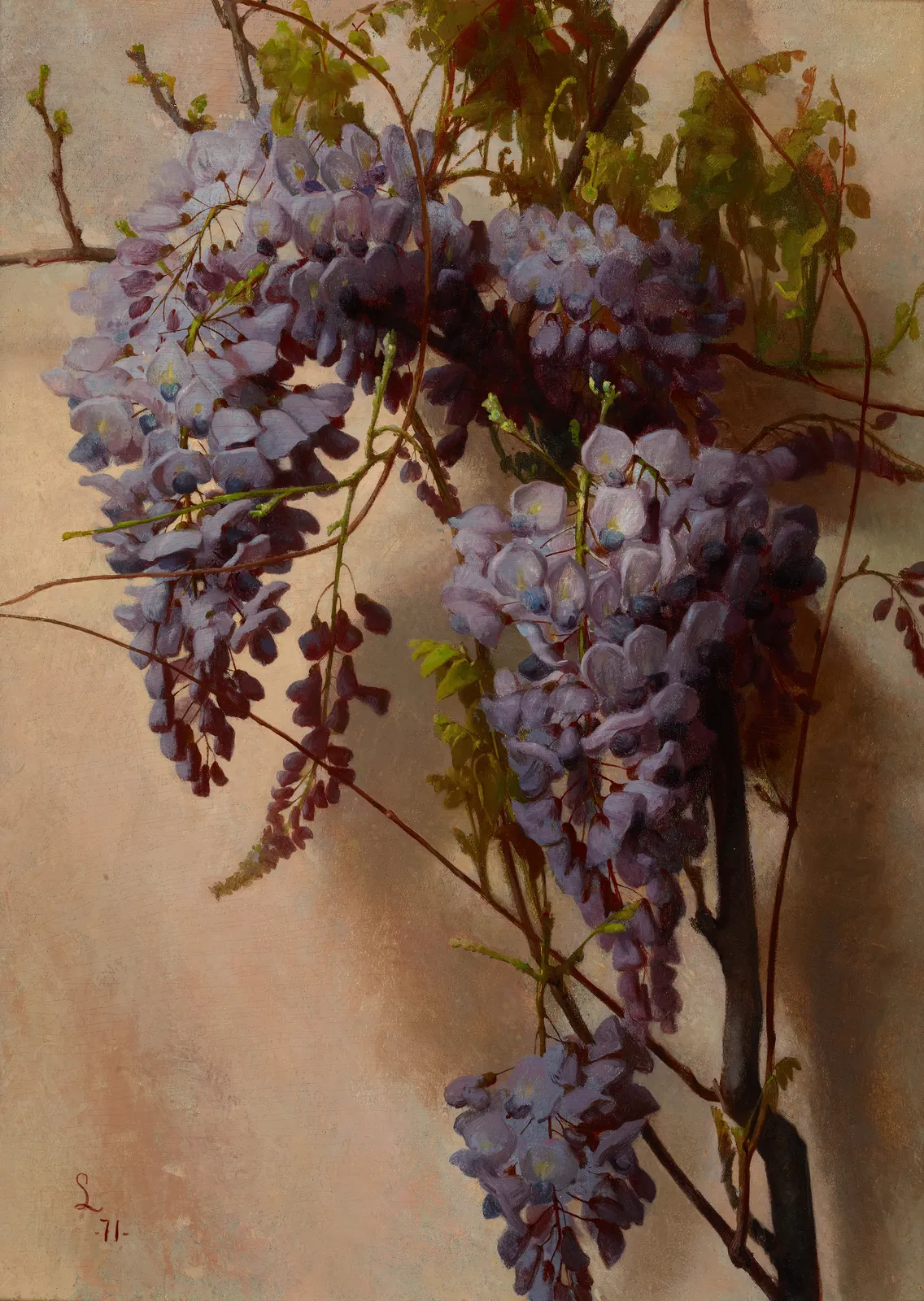 George Cochran Lambdin, Wisteria on a Wall, 1871