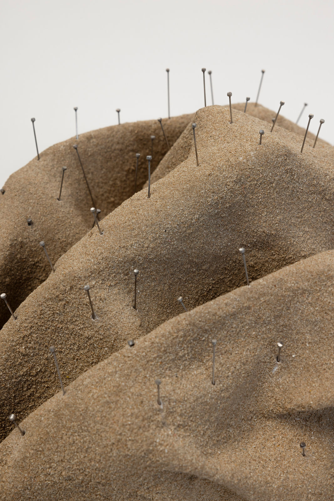 Talin Hazbar, Scrunch انكماش , 2025