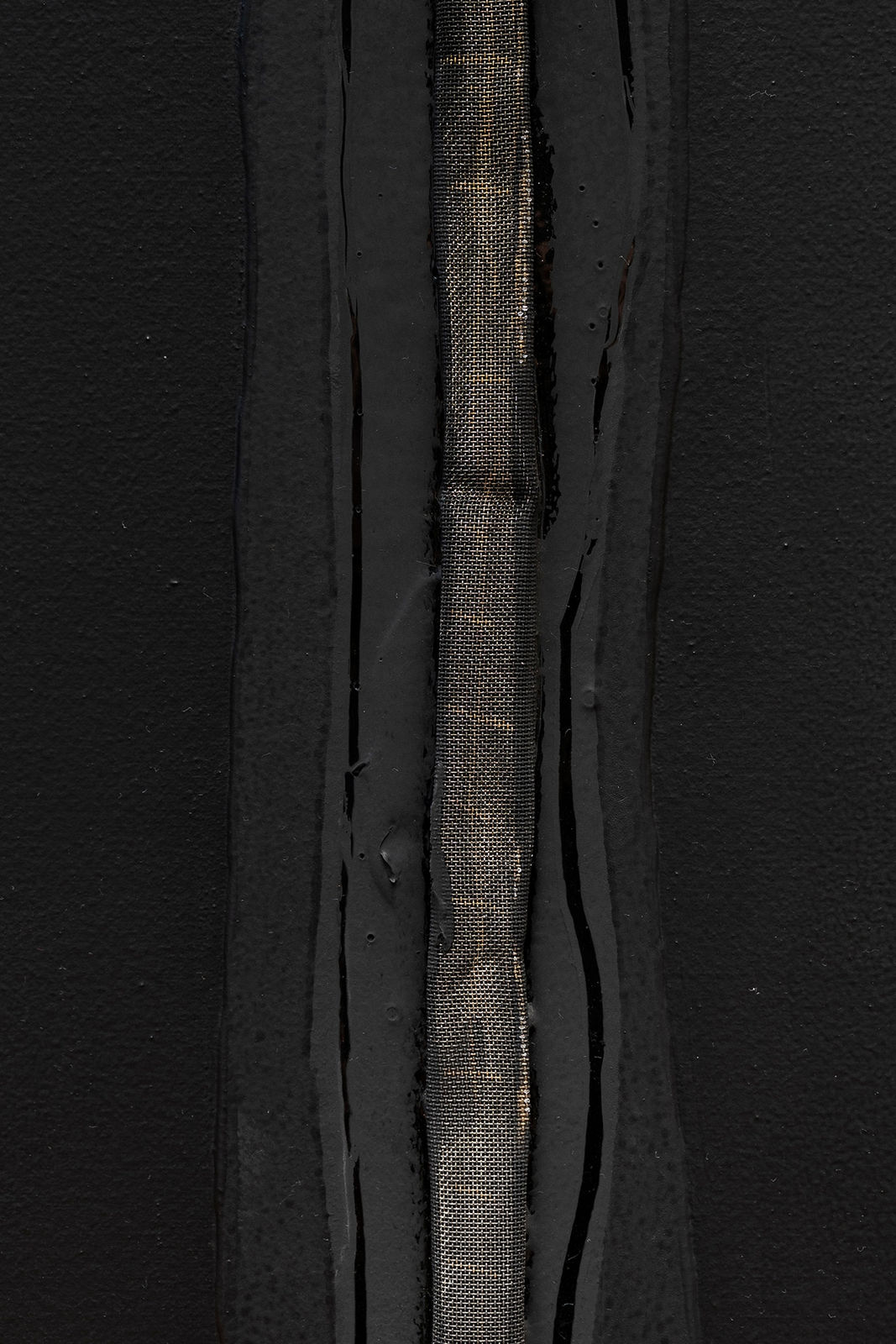 Enric Ansesa, Sutura metàlica, 2015