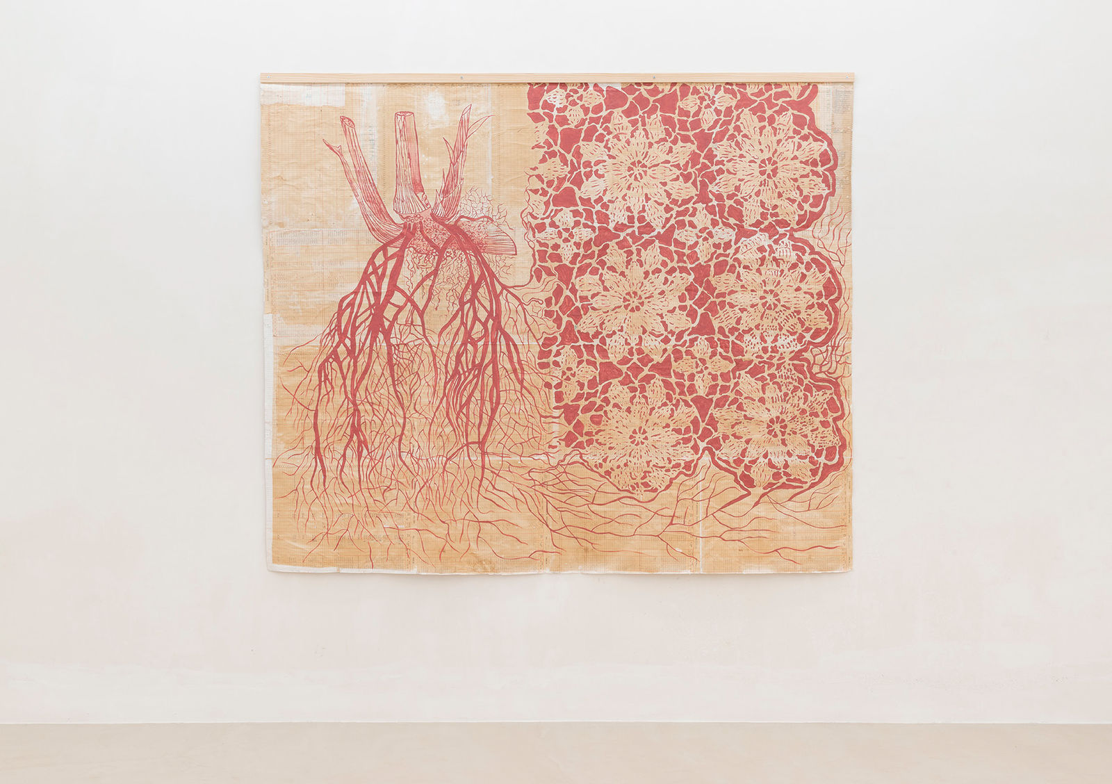 Annalee Davis, Saccharum Officinarum and Queen Anne’s Lace, 2015