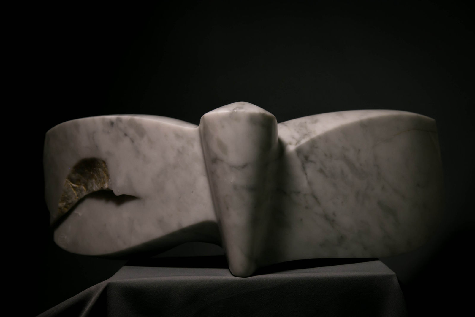 Ahmed Magdy, Resistance