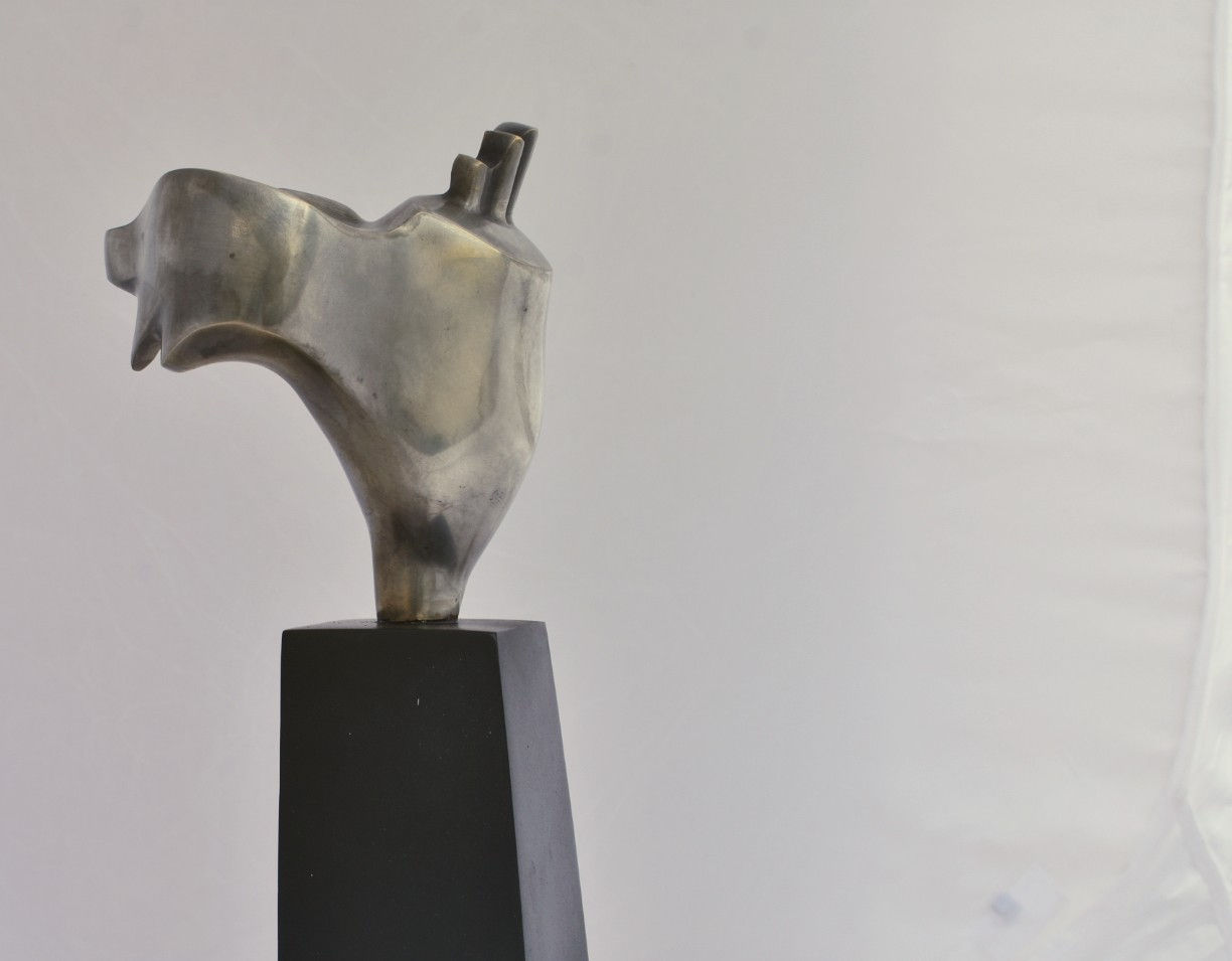 Ahmed Magdy, Heart of Egypt