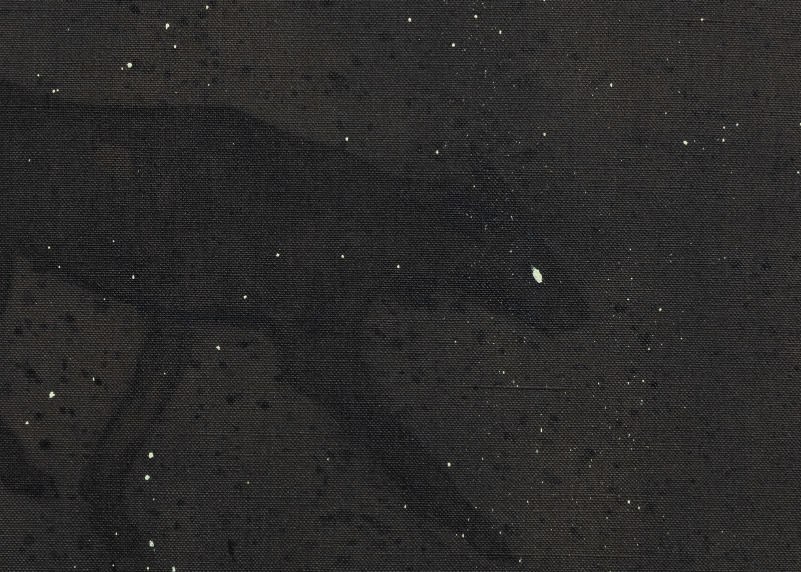 Francisco Rodríguez, Power outage; September 11th, 2025