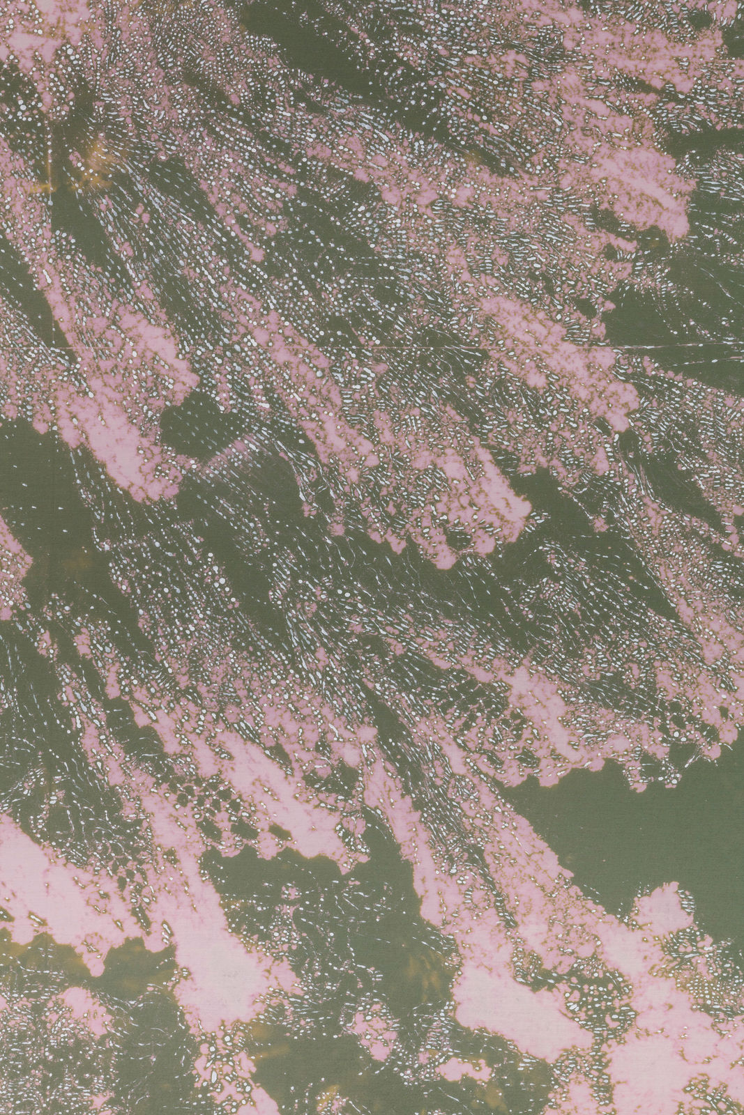 Elena El Asmar, Arioso Operoso, 2018