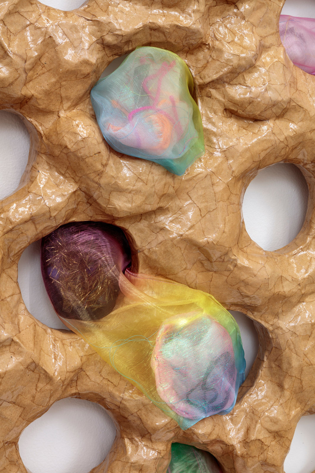 Ludovica Gioscia, Eager Follicole, 2022