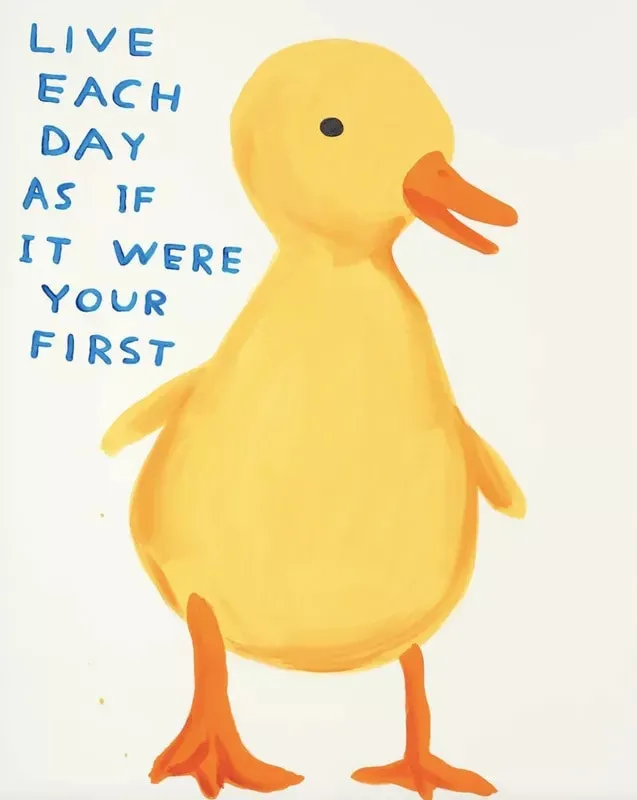 David Shrigley, Live Each Day As If It Were Your First, 2022
