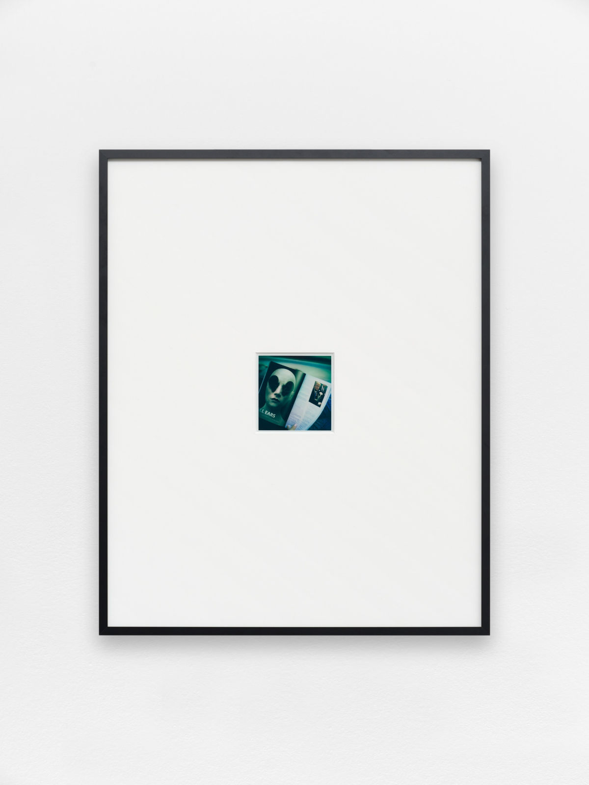 Will Benedict, All ears, 2022