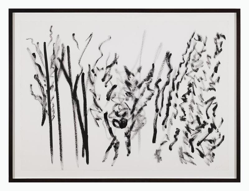 Simone Fattal, Study for a Panel (Trees) 5, 2017