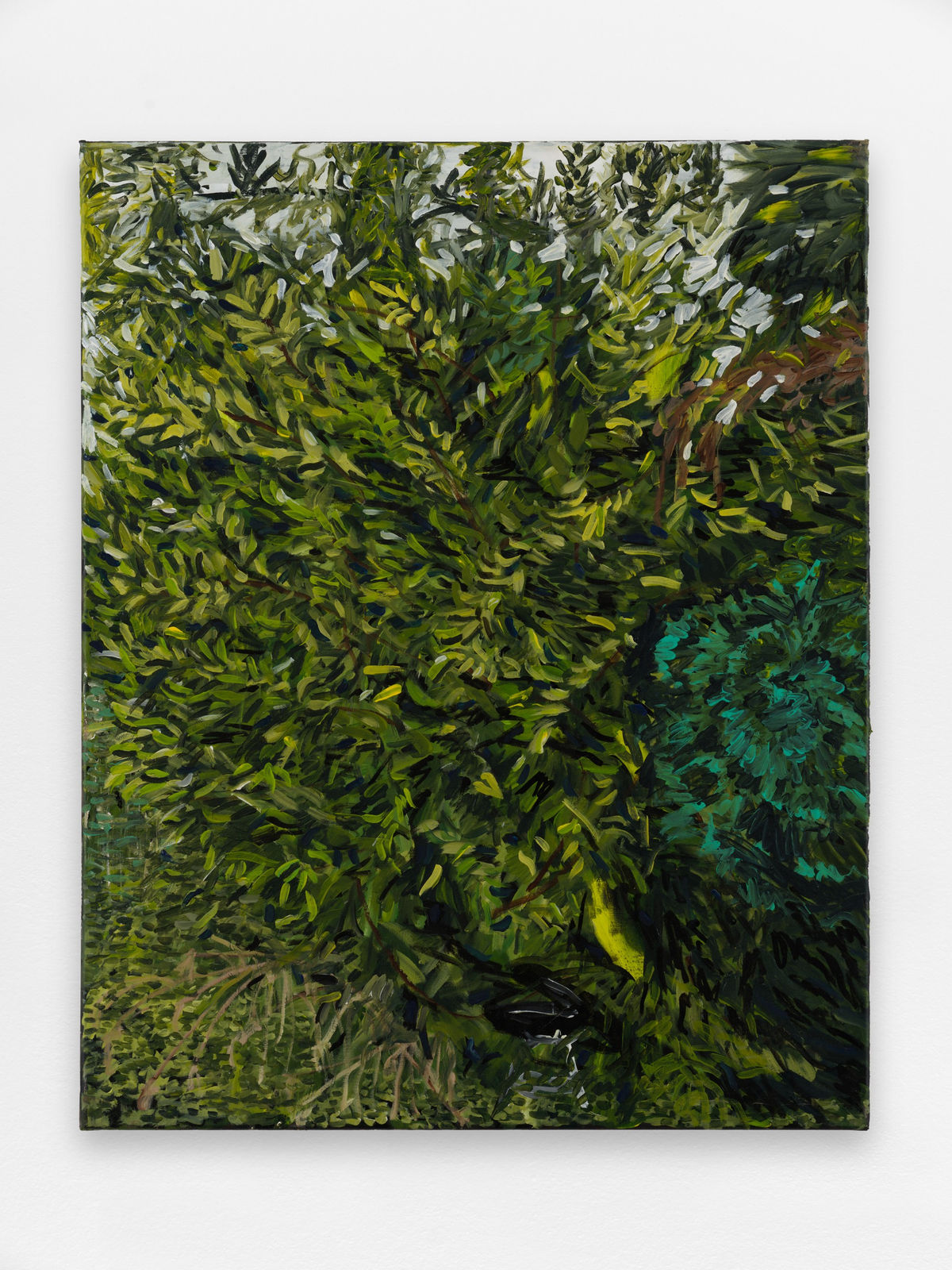 Louis Somveille, The bush that got away, 2024