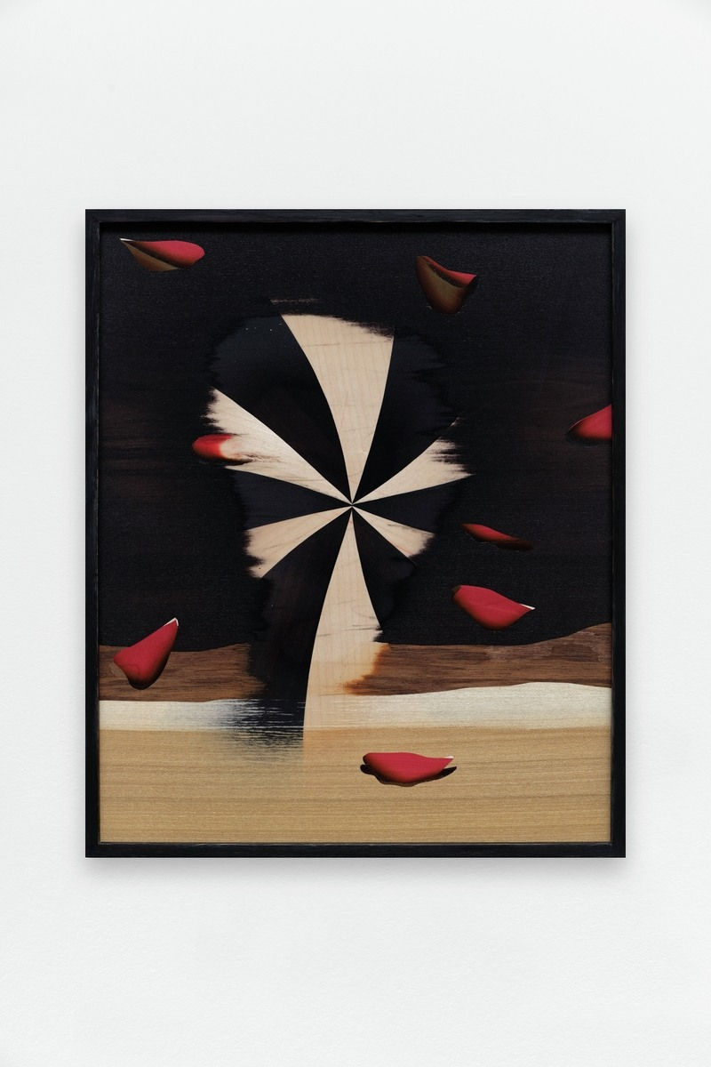 Camille Blatrix, In the Mouth a Desert, 2020