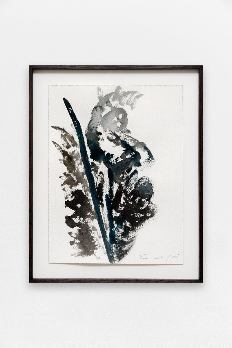 Simone Fattal, Tree, 2017