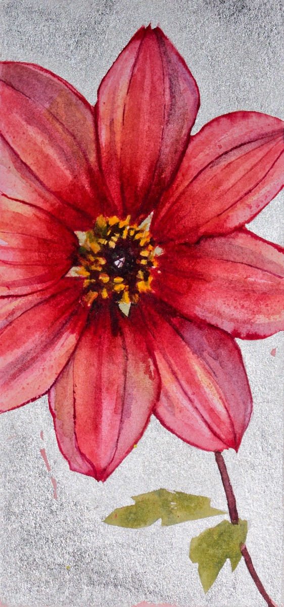 Jenny Matthews, Dahlia 'Lon Farman'