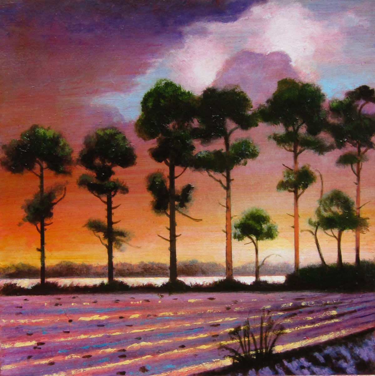 Louis McNally, Winter Solstice