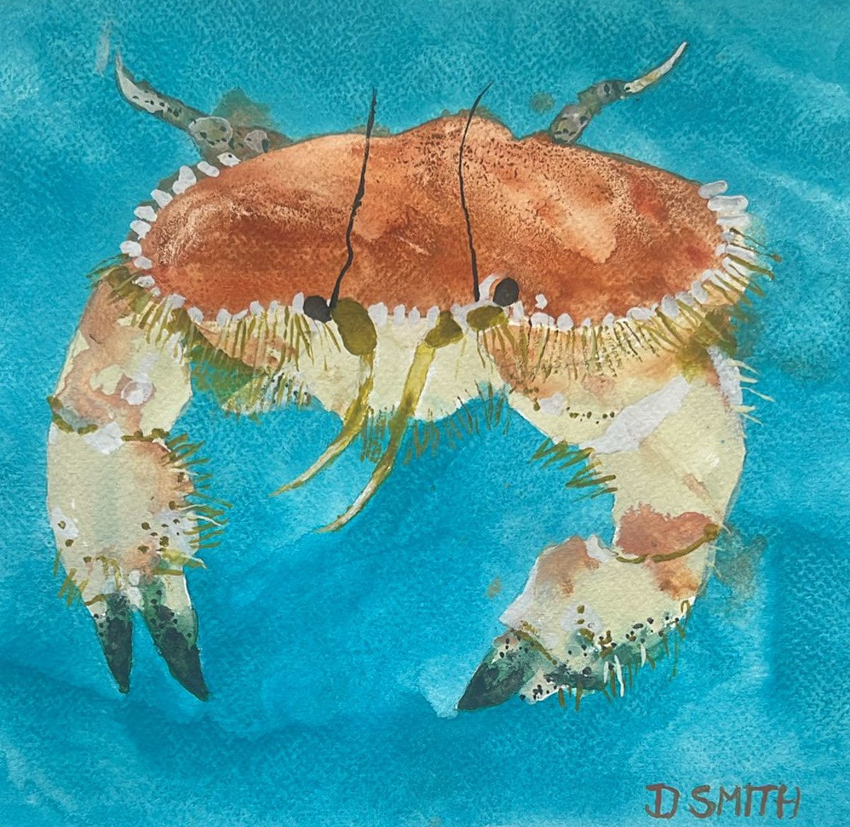 David Smith RSW, Edible Crab Study