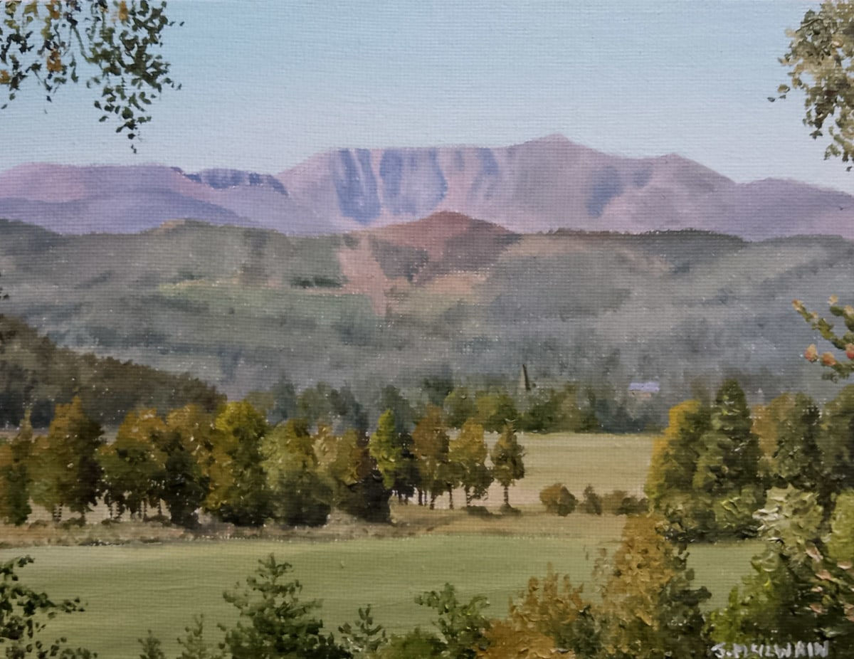 Janice Mcilwain, Lochnagar from Cambus Forest Walks
