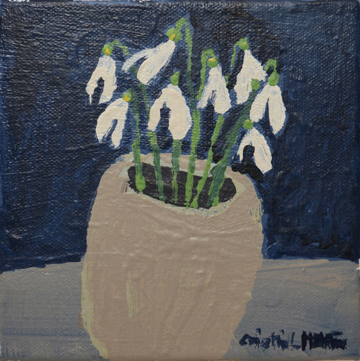 Christine McArthur, Snowdrops