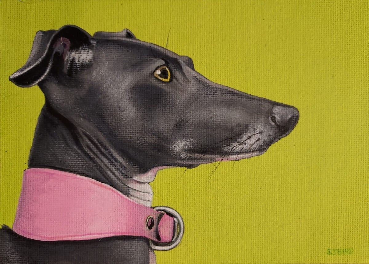 Stanley Bird, The Quiet Gaze