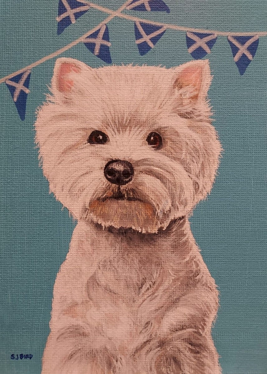 Stanley Bird, Wee Braveheart