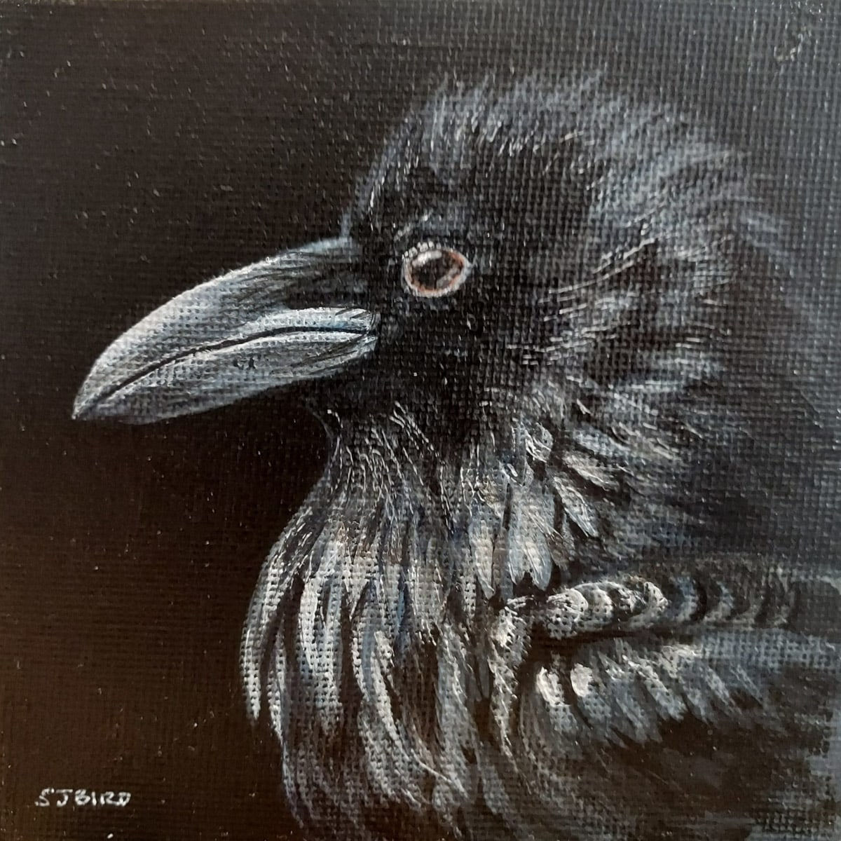 Stanley Bird, Nevermore