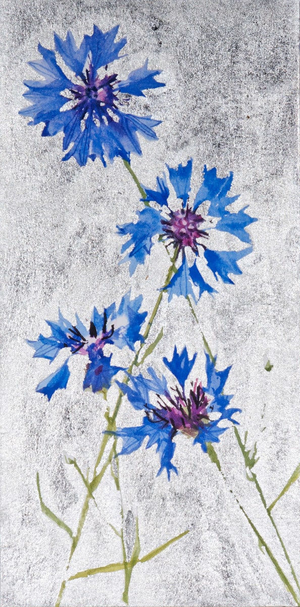 Jenny Matthews, Cornflowers