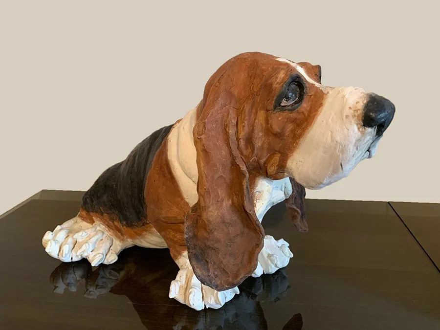 Christine Cummings, Basset Hound