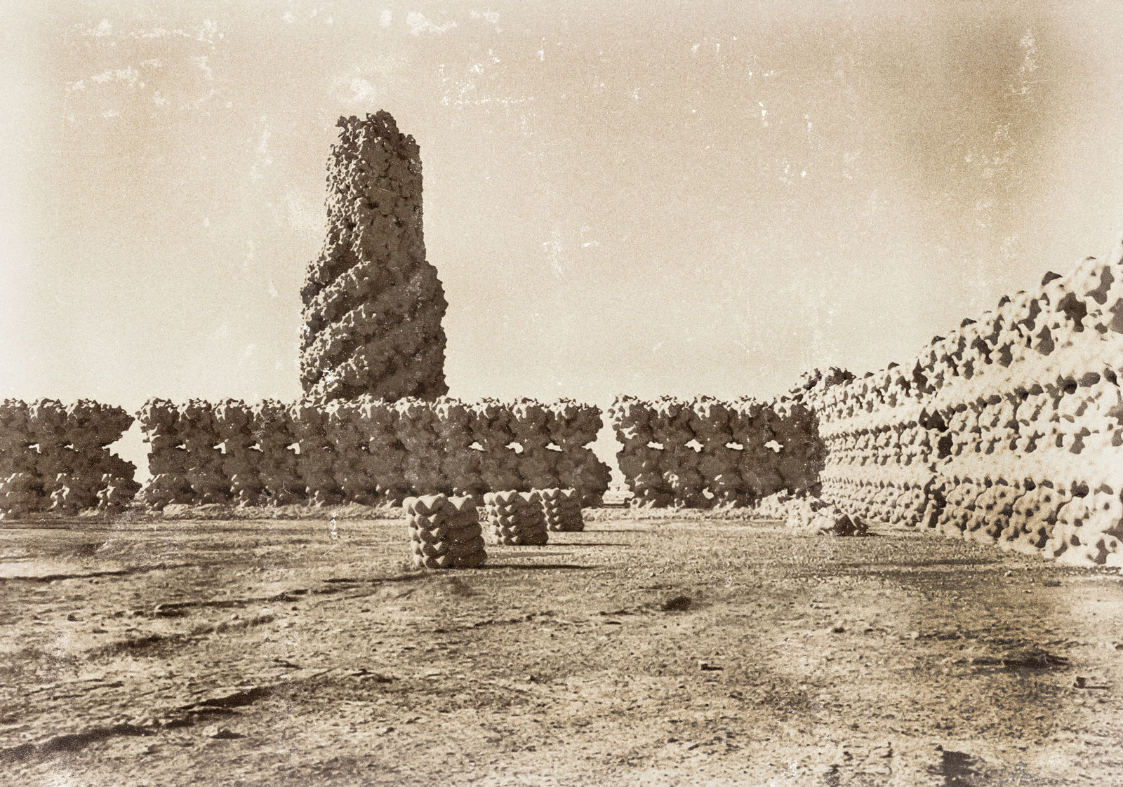 Duyi Han 韩笃一, Minaret or Distal Rod-Hook within the Flagellar Motor-Hook Complex of Salmonella (View 1) 尖塔或沙门氏菌鞭毛马达-接头装置复合物内的远端联动杆-接头装置(视角1), 2024