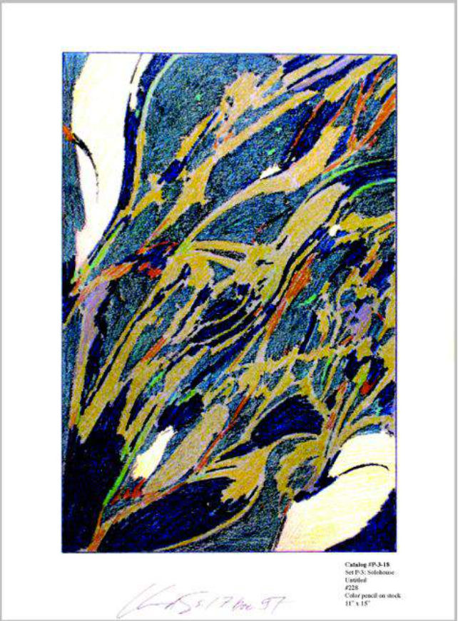 Lebbeus Woods 莱伯斯·伍兹, Solohouse 建筑原子