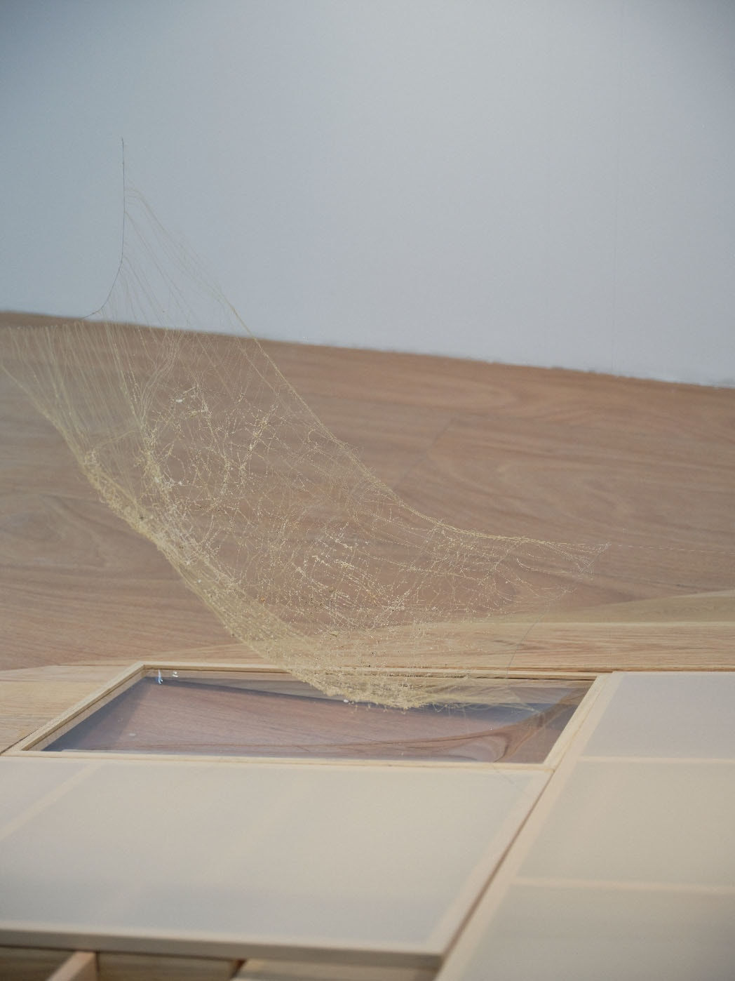 Chen Ruofan 陈若璠, Soft Window II 软窗 II, 2024