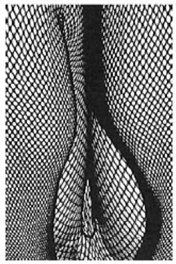 Daido Moriyama 森山大道, How to Create a Beautiful Picture 6: Tights in Shimotakaido 如何创作一张美丽的图片6: 紧身衣在下高井户, 1987 - 2013