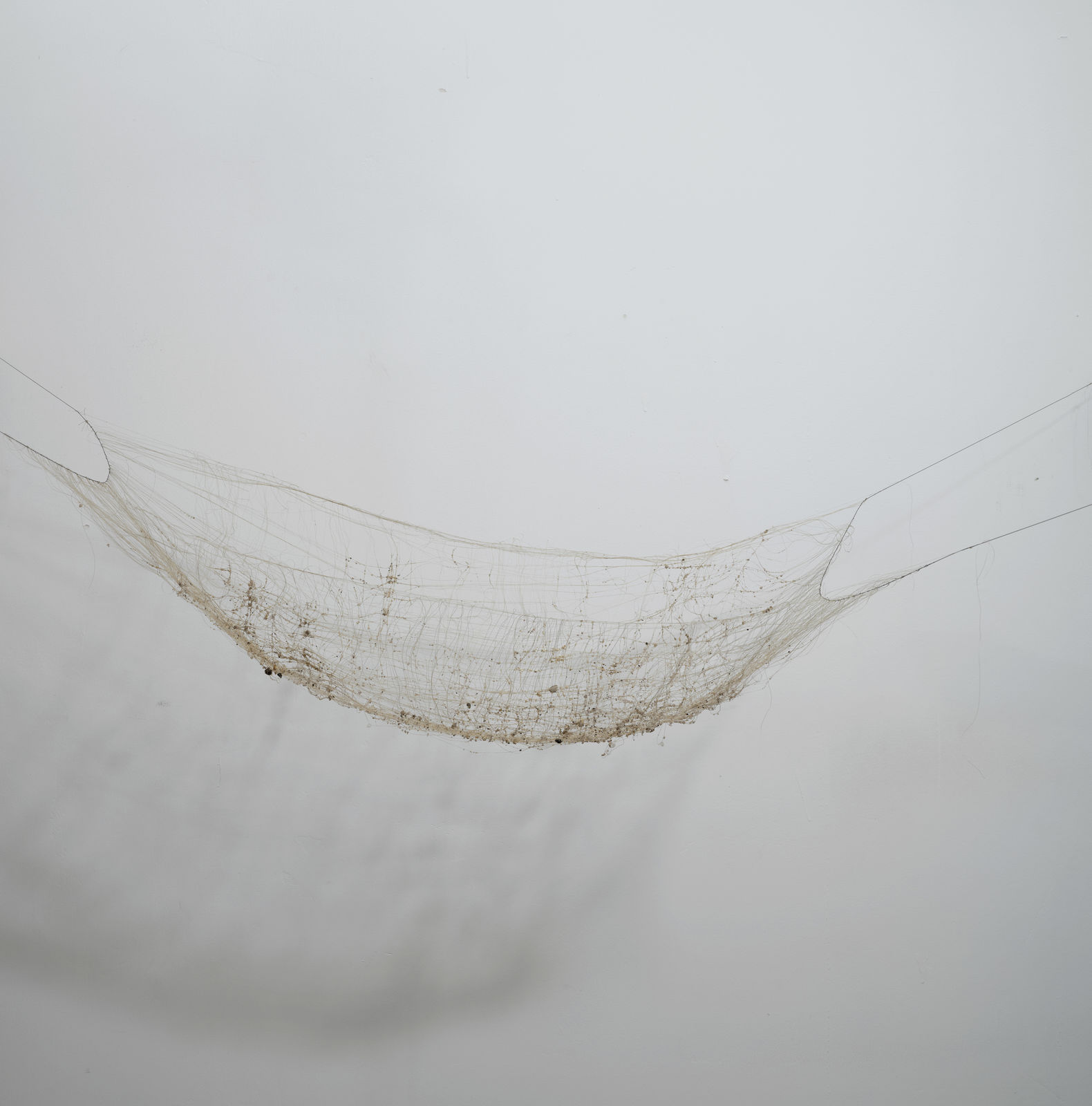 Chen Ruofan 陈若璠, Soft Window II 软窗 II, 2024