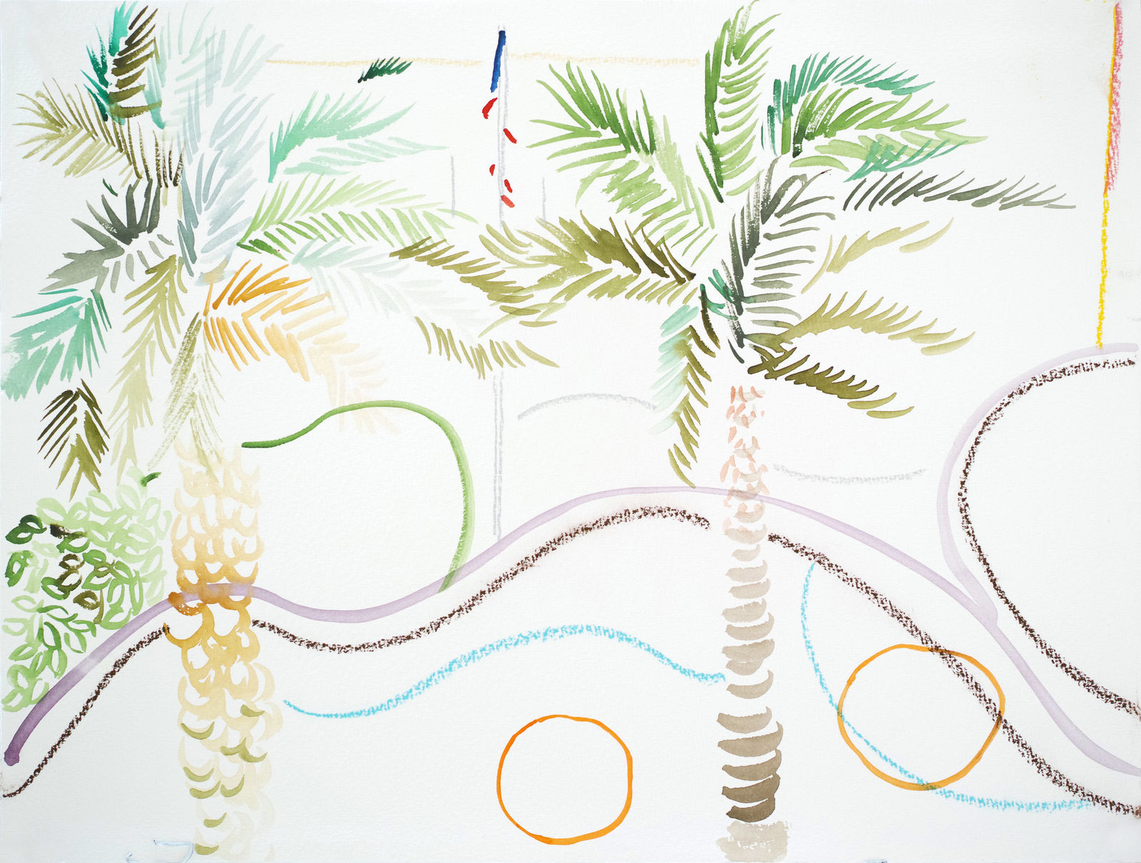 Zheng Haozhong 郑皓中, FLORIDA • USA, 2019