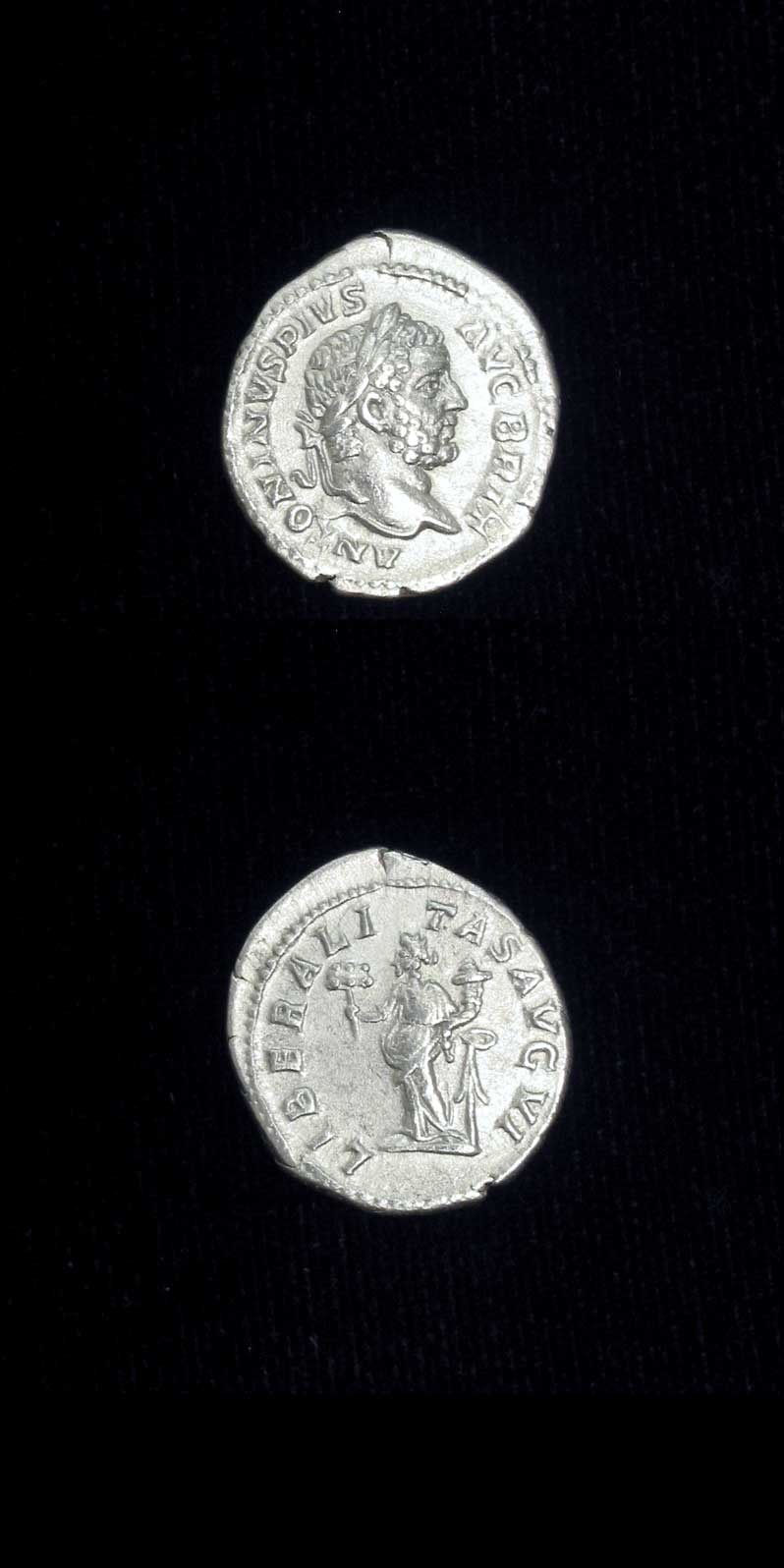 Silver Denarius of Emperor Caracalla, 210 CE - 213 CE