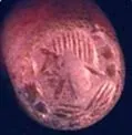 Sassanian Agate Intaglio Seal, 200 CE - 600 CE