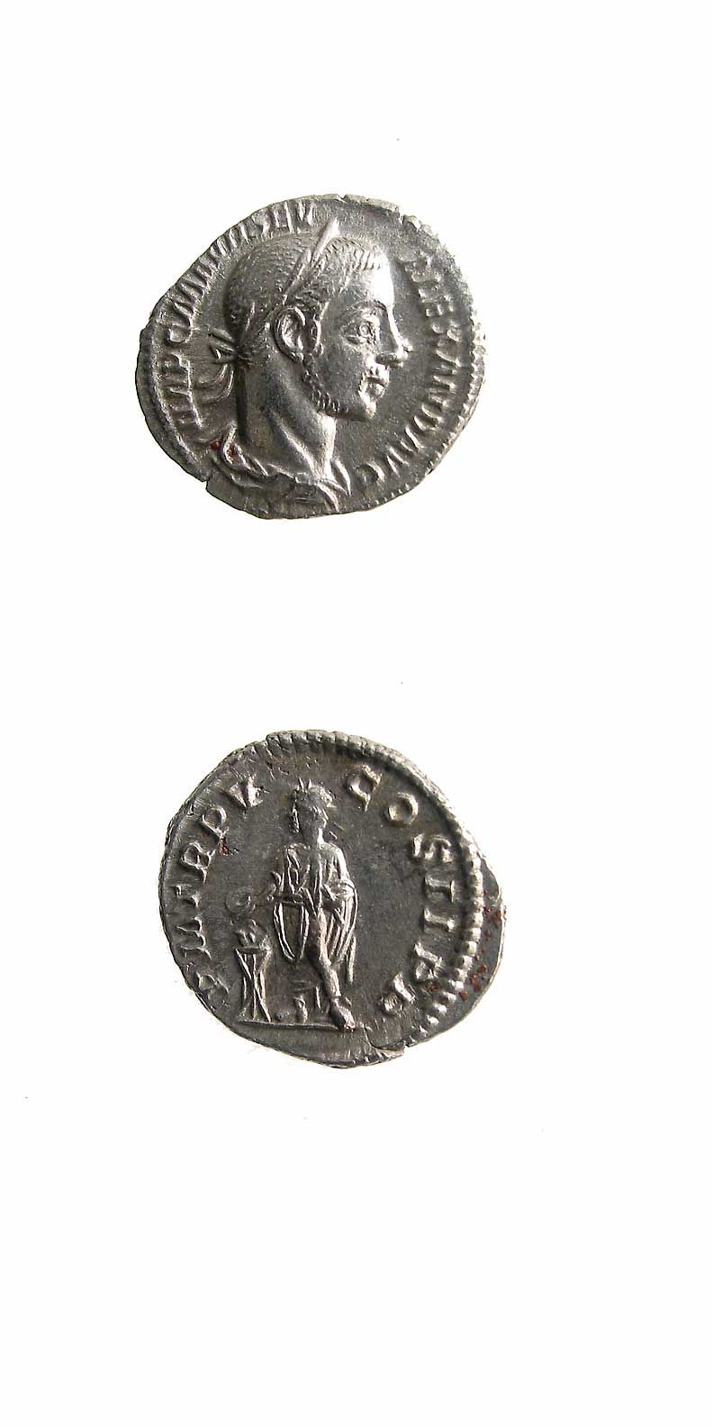 Silver Denarius of Emperor Septimius Severus, 222 CE - 228 CE
