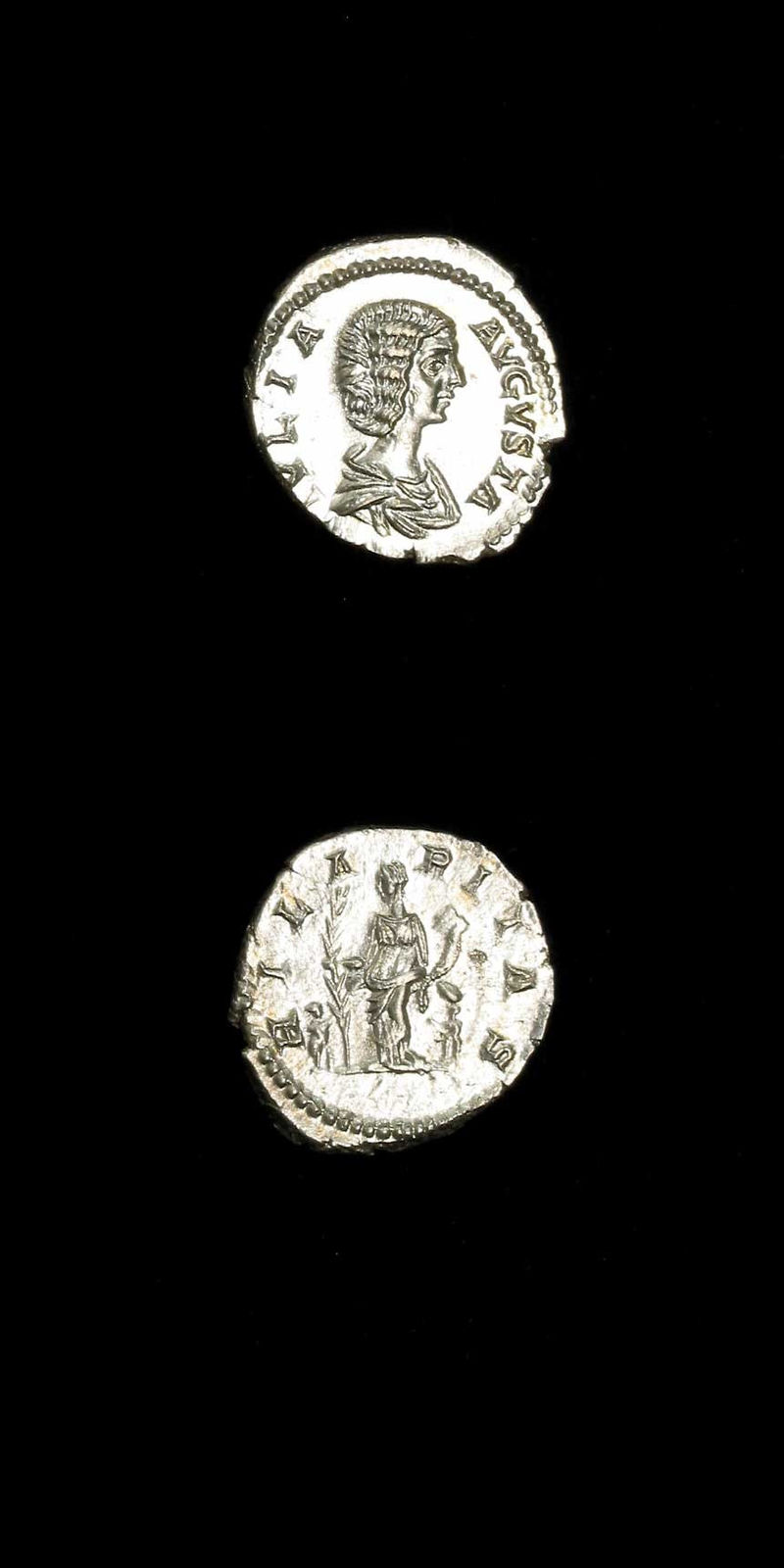 Silver Denarius of Empress Julia Domna, 196 CE - 211 CE