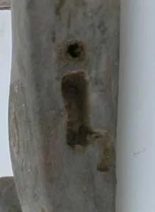 Man/Bird Votive Figure With An Intaglio, 4000 BCE - 3000 BCE