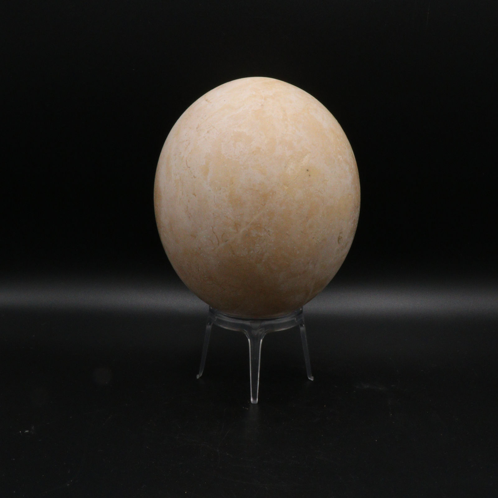 Middle Bronze Age Egg, 1900-1600 BCE