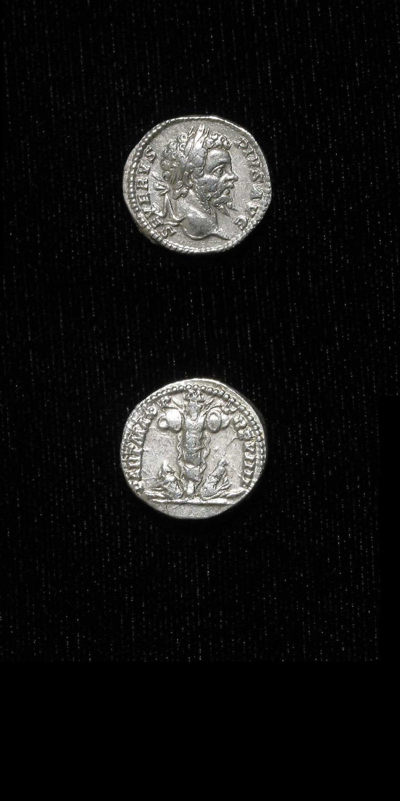 Silver Denarius of Emperor Septimius Severus, 198 CE - 211 CE