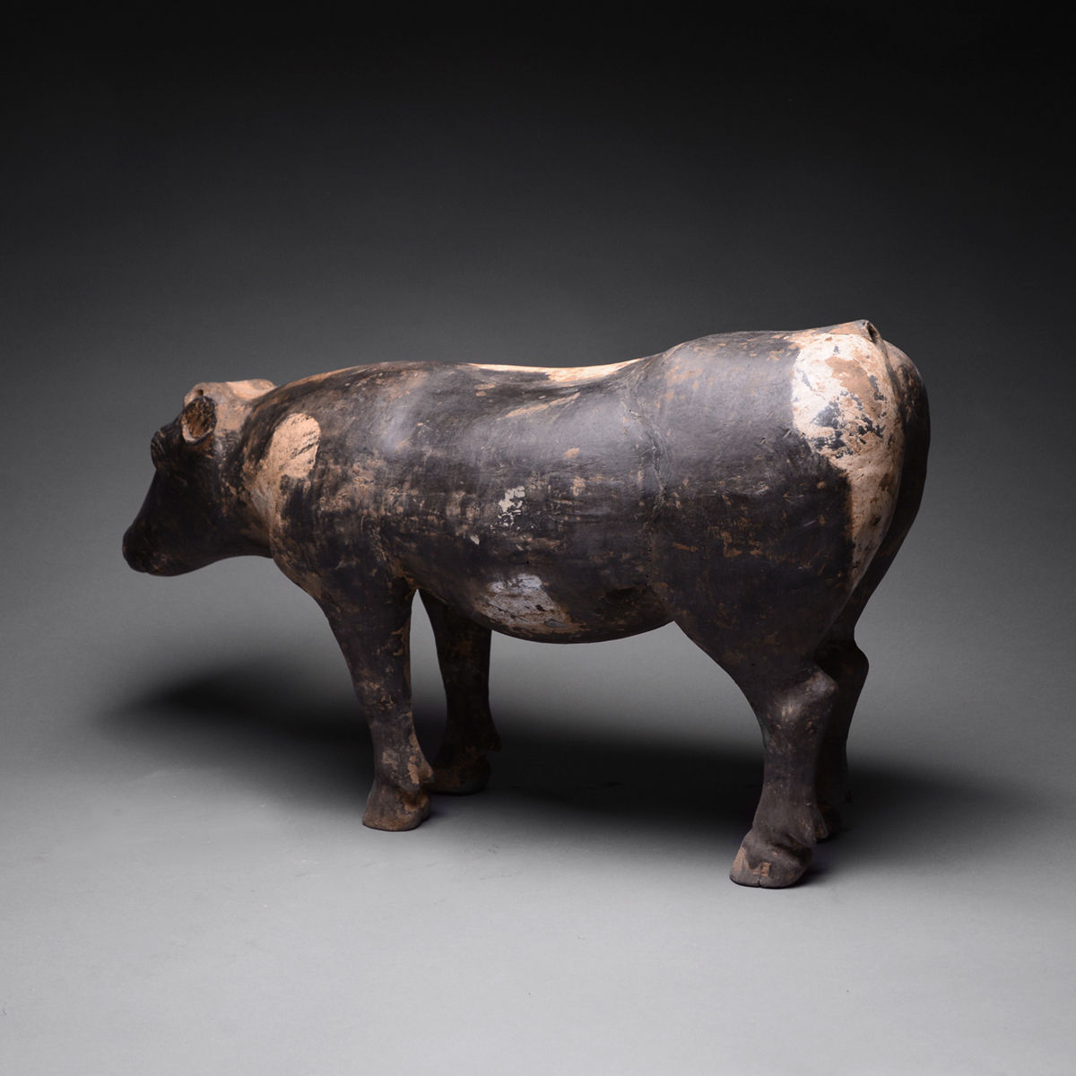 Western Han Terracotta Sculpture of a Spotted Ox, 206 BCE - 9 CE