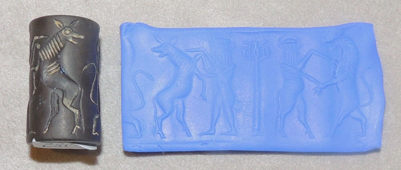 Cylinder Seal