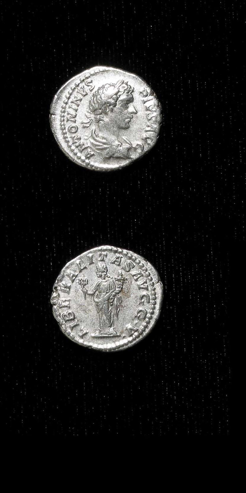 Silver Denarius of Emperor Caracalla, 200 CE - 210 CE