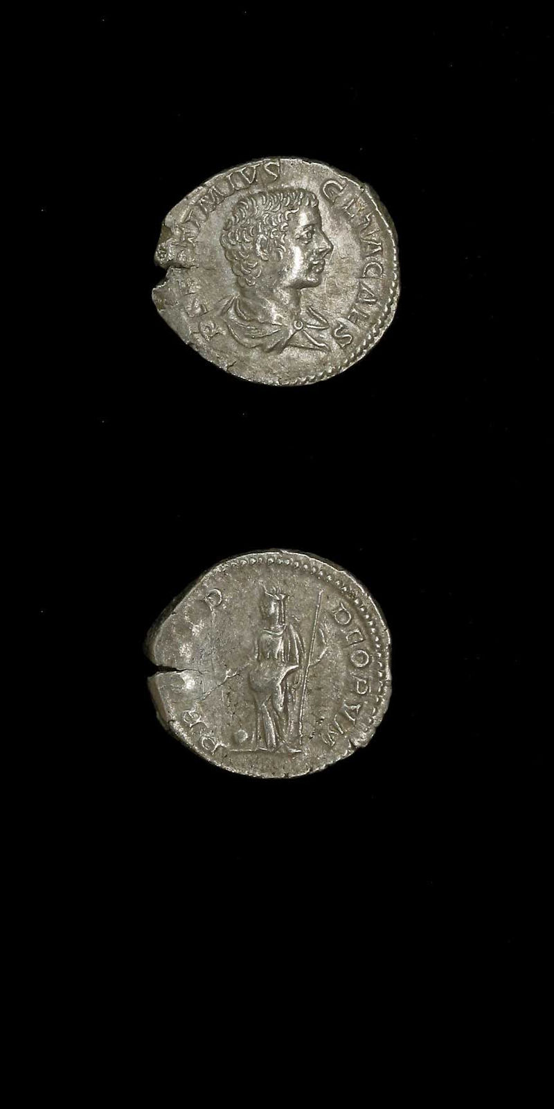 Silver Denarius of Geta Struck While Caesar, 202 CE - 209 CE